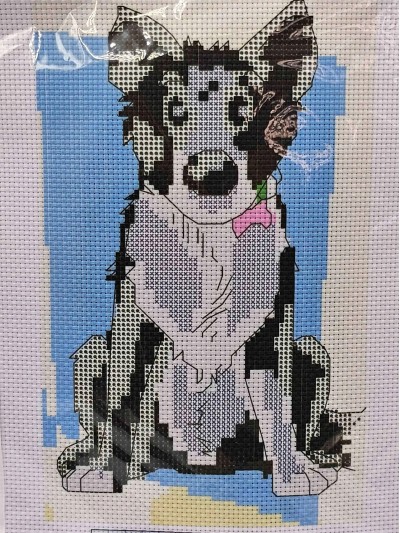 Premax Aqua - Forfecuta Pentru Unghii