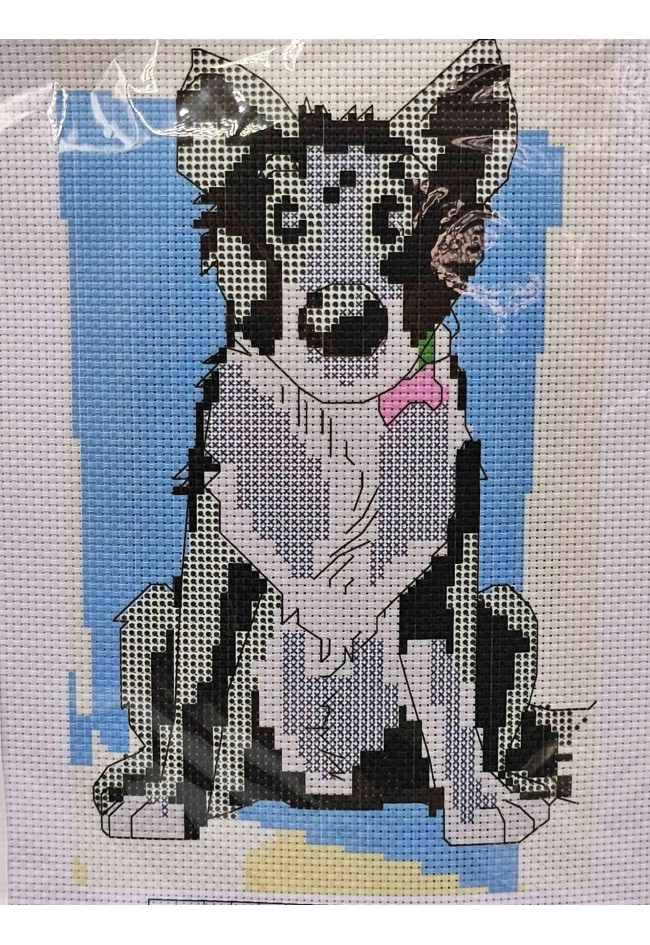 Premax Aqua - Forfecuta Pentru Unghii